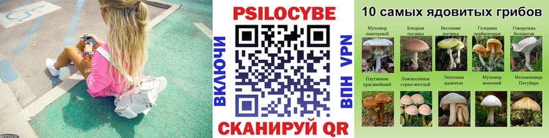 Псилоцибиновые грибы мухоморы  blacksprut ССЫЛКА  Сосновый Бор  купить наркотик 